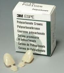 Polycarbonate Temporary Crowns - 3M ESPE