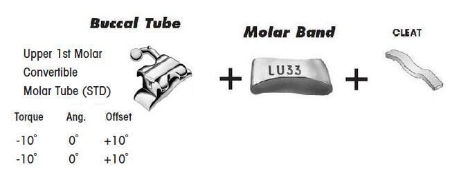 1st Molar Bands Assembly with Upper STD BuccalTube and Cleat