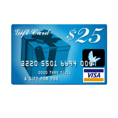 Gift Card $25 Visa