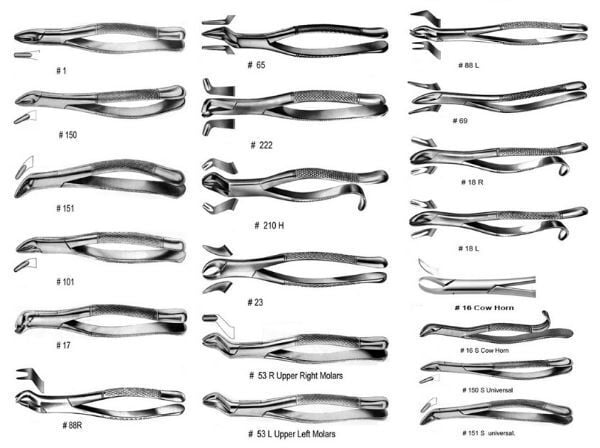 Extracting Forceps American Pattern - Economy