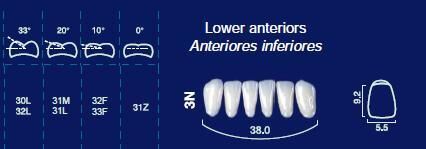 Lower Anterior Acrylic Resin Teeth #3N - NewTek