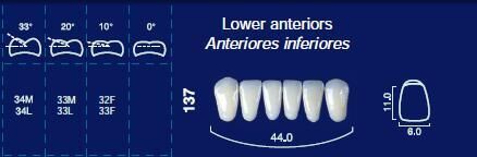 Lower Anterior Acrylic Resin Teeth #137 - NewTek