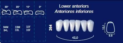Lower Anterior Acrylic Resin Teeth #264 - NewTek