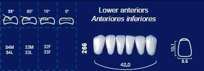 Lower Anterior Acrylic Resin Teeth #266 - NewTek
