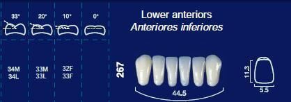 Lower Anterior Acrylic Resin Teeth #267 - NewTek