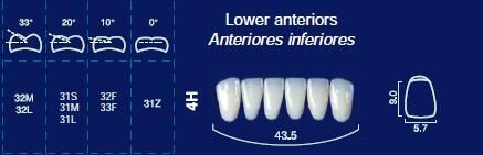 Lower Anterior Acrylic Resin Teeth #4H - NewTek