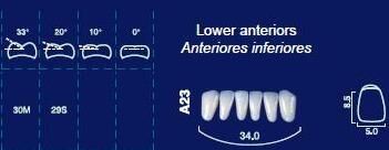 Lower Anterior Acrylic Resin Teeth #A23 - NewTek