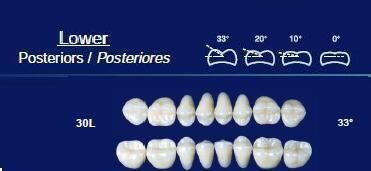 Lower Posterior Acrylic Resin Teeth #30L - NewTek
