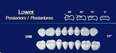 Lower Posterior Acrylic Resin Teeth #30M - NewTek