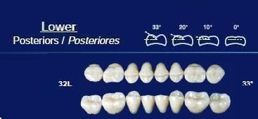 Lower Posterior Acrylic Resin Teeth #32L - NewTek