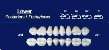 Lower Posterior Acrylic Resin Teeth #34L - NewTek