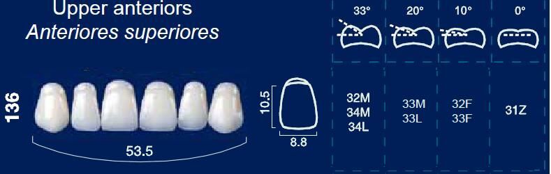 Upper Anterior Acrylic Resin Teeth #136 - NewTek