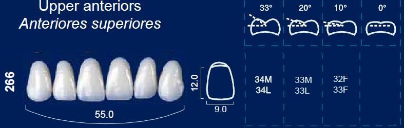 Upper Anterior Acrylic Resin Teeth #266 - NewTek