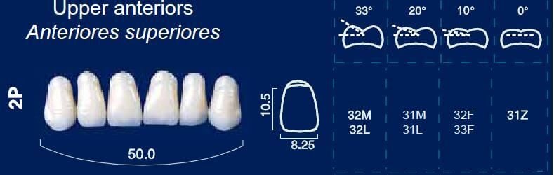 Upper Anterior Acrylic Resin Teeth #2P - NewTek