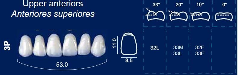 Upper Anterior Acrylic Resin Teeth #3P - NewTek