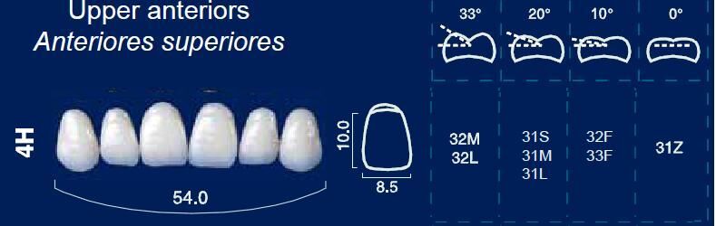 Upper Anterior Acrylic Resin Teeth #4H - NewTek