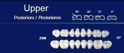 Upper Posterior Acrylic Resin Teeth #29M - NewTek