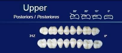 Upper Posterior Acrylic Resin Teeth #31Z - NexTek