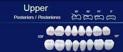 Upper Posterior Acrylic Resin Teeth #33F - NewTek