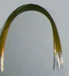 Gold Color Coated Niti Archwire