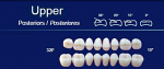 Upper Posterior Acrylic Resin Teeth #32F - NewTek