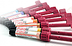 Parafil LC Direct Zirconium Composite Syringes - Prime dent